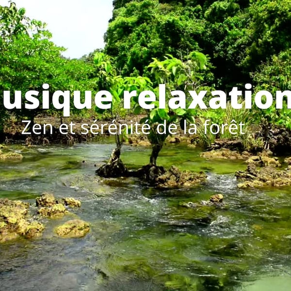 Vidéo  musicale méditation et relaxation zen - Calme des oiseaux et de la forêt