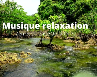 Vidéo  musicale méditation et relaxation zen - Calme des oiseaux et de la forêt