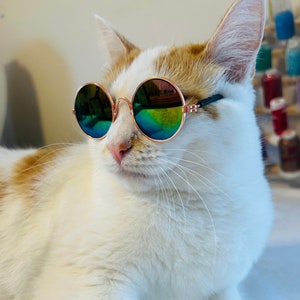 Cool cat eye sunglasses hotsell