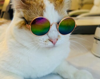 Cat Sunglasses, Sunglasses for Cats, Cat Fashion, Cat Accessories, Props,  Sunglasses Props, Photo Shot Props, Cool Cat - Etsy