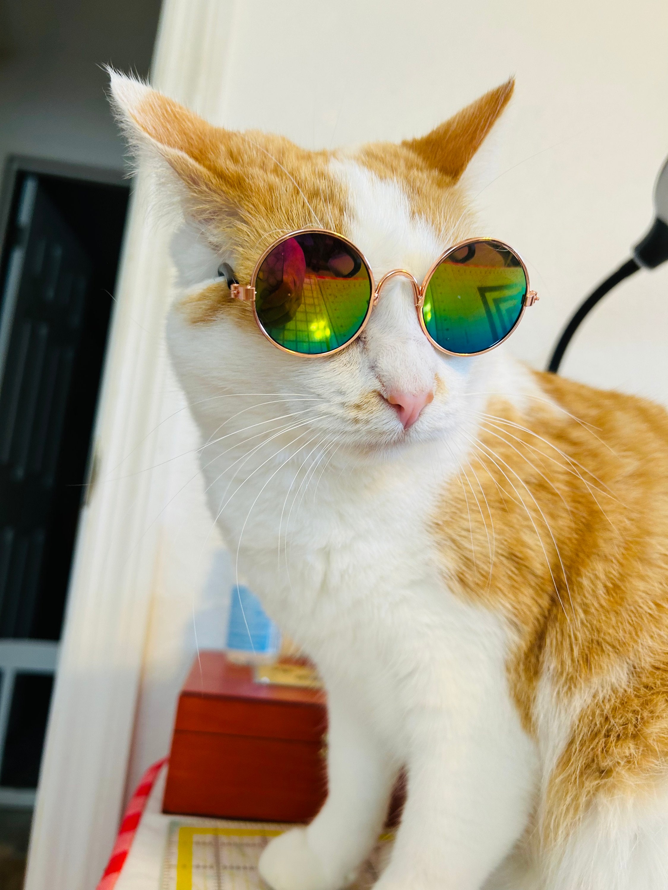 Cat Dog Pet Sunglasses Decorative Cute Glasses Lovely Reflection Eye Wear Glasses Small Puppy Kitten Photo Props Pet Accessories