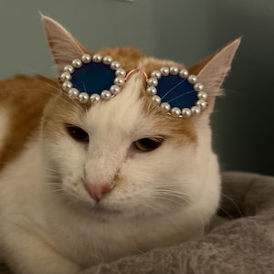 Cat & Dog Sunglasses: Gold Frame with Faux Pearls, Pet Photo Props