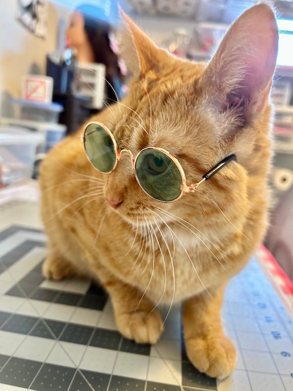 Cat Sun Glasses Prop Sun Glasses for Cats Cool Sunglasses
