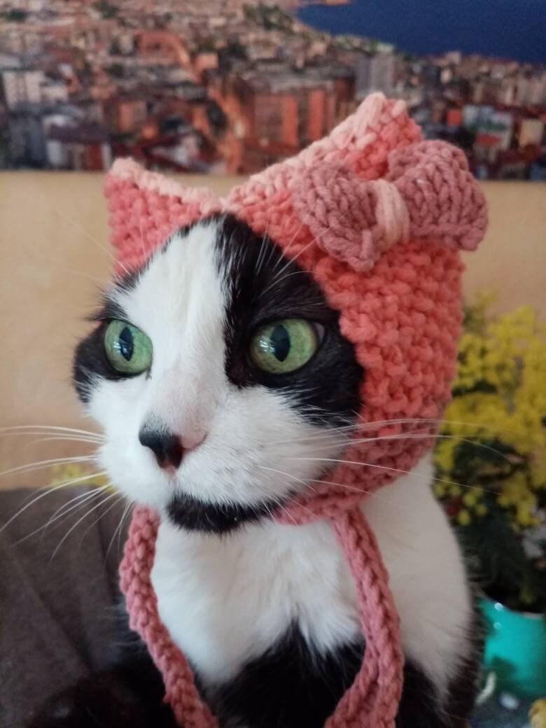 Bonnet Pour Chat ou Chien