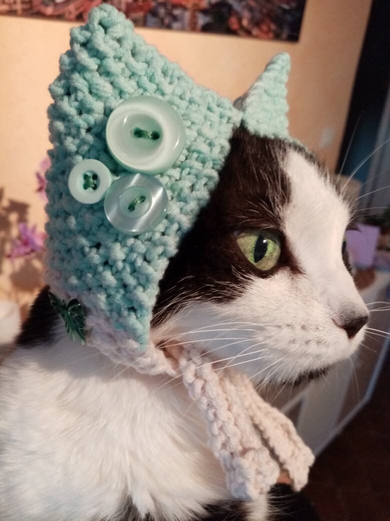 Bonnet en Laine Chat ou Chien