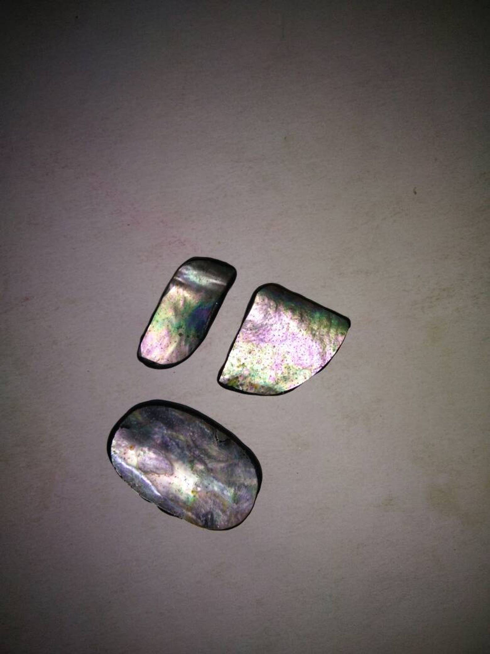 A Abalone Shell 3 Pieces Lot With the Weight of 74.00 Cts. the ...