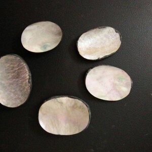 A Abalone Shell 5pieces Lot With the Weight of 98.50 Cts.the Dimension ...