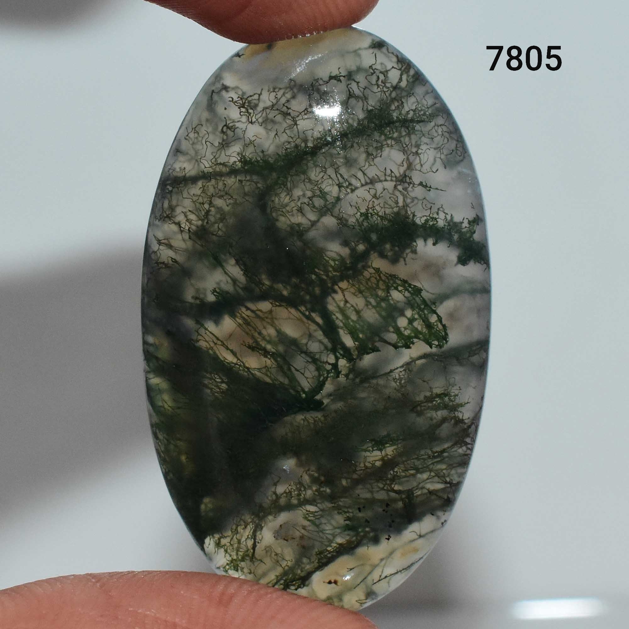AAA Natural Moss agate Gemstone Moss Agate cabochon Moss | Etsy