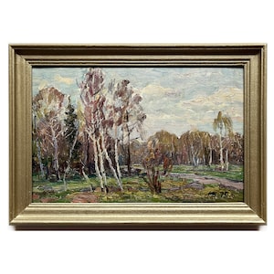 Gerahmtes, originales Ölgemälde „Frühlingsparklandschaft“ des ukrainischen Künstlers M. Borymchuk (1979), Wald, Birken, Natur. Fertig zum Aufhängen.