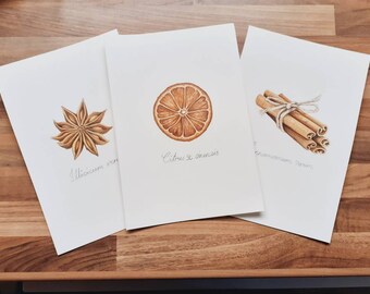 Set of 3 original illustrations of winter fruit and spice. Yuletide art. Foodie kitchen Christmas gift. Cinnamon, orange and star anise.