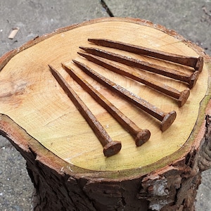 Peut inclure: Six vieux clous rouillés disposés en éventail sur une souche d'arbre. Les clous sont de différentes longueurs et ont une patine brun foncé.