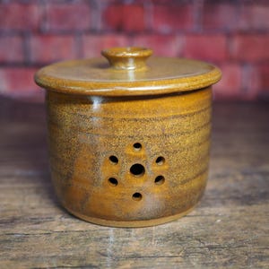 Garlic Keeper in Brickyard