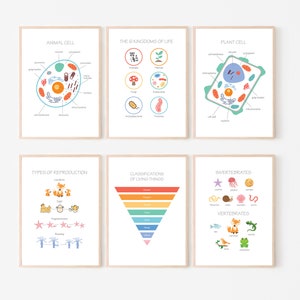 Kids Science, Biology Posters, Room Decor, Educational, Homeschool, Pre-School, Montessori, Classroom, learning resources, Plant Animal cell