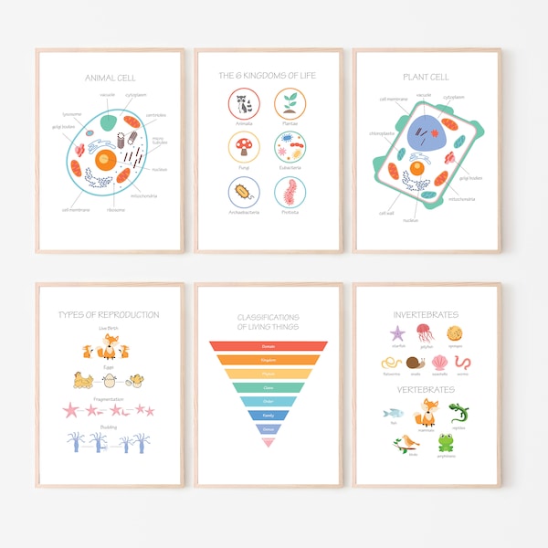 Kids Science, Biology Posters, Room Decor, Educational, Homeschool, Pre-School, Montessori, Classroom, learning resources, Plant Animal cell