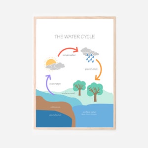 The Water Cycle - Kids Science Wall Art Room Decor Educational Prints for Bedroom, Playroom, Homeschool, Pre-School & Montessori