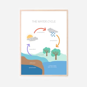 Peut inclure: Une illustration colorée du cycle de l'eau. L'illustration montre le soleil, les nuages, la pluie, l'évaporation, la condensation, le ruissellement de surface, l'infiltration et les eaux souterraines. Le texte "THE WATER CYCLE" est en haut de l'illustration.