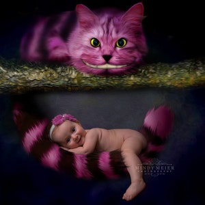 Cheshire Cat Digital Backdrop, Alice es Adventures in Wonderland Digital Backdrop, Wonderland Cat Newborn Digital Background