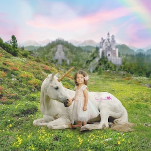 Unicorn Digital Backdrop, Fantasy Digital Background, Princess Digital Backdrop, Field Digital Background, Rainbow digital Backdrop, Castle