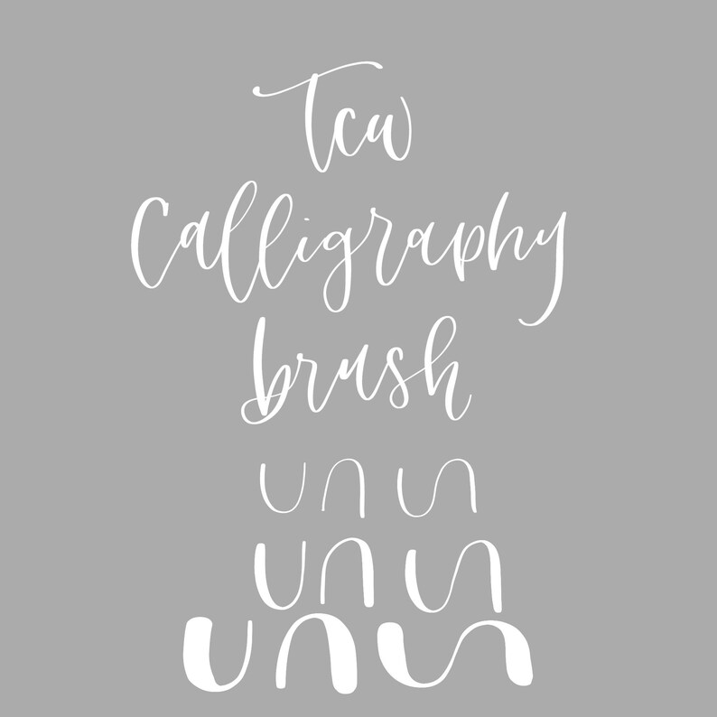 Procreate Calligraphy Brush Etsy