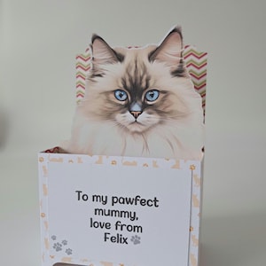 Cat Pop Up Birthday Card. Cat in a box. Various Breeds, Christmas Card, Personalised Card