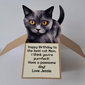 Cat Pop Up Birthday Card. Cat in a box. Various Breeds, Personalised Pop Up Card