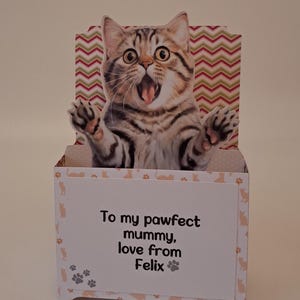Cat Pop Up Card, birthday / Christmas, various breeds. Cat in a box. Personalised Card