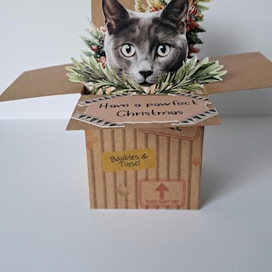 Carte de Noël chat, jolie carte de chat de Noël voyeur, chat dans une boîte. Races variées, carte pop-up personnalisée