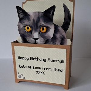 Cat Pop Up Birthday Card. Cat in a box. Various Breeds, Personalised Pop Up Card