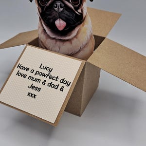 Carte pop-up chien. 72 races de chiens au choix. Chien dans une boîte. Carte personnalisée