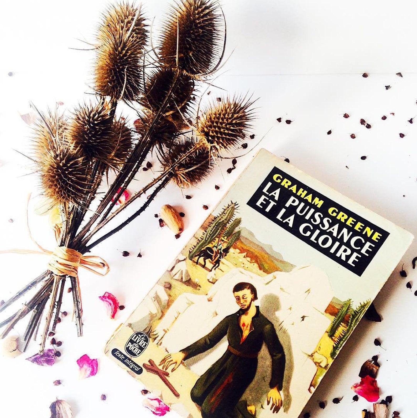 Book Used book LA PUISSANCE et