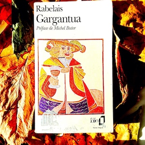 Used Book GARGANTUA Rabelais Folio in Old French Sophiesbooks