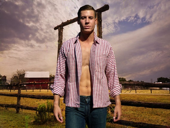 Mens western hotsell flannel shirts