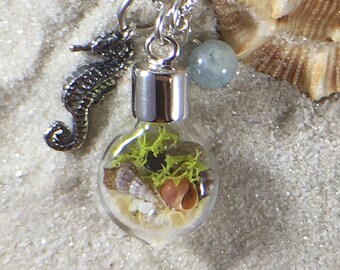 Beach Shell Terrarium Sterling Silver Necklace