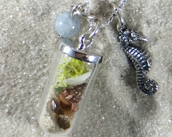 Collar de plata de ley Beach Shell Terrarium Sterling