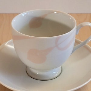 Set of 2 Mikasa Classic Flair Peach cup and saucer