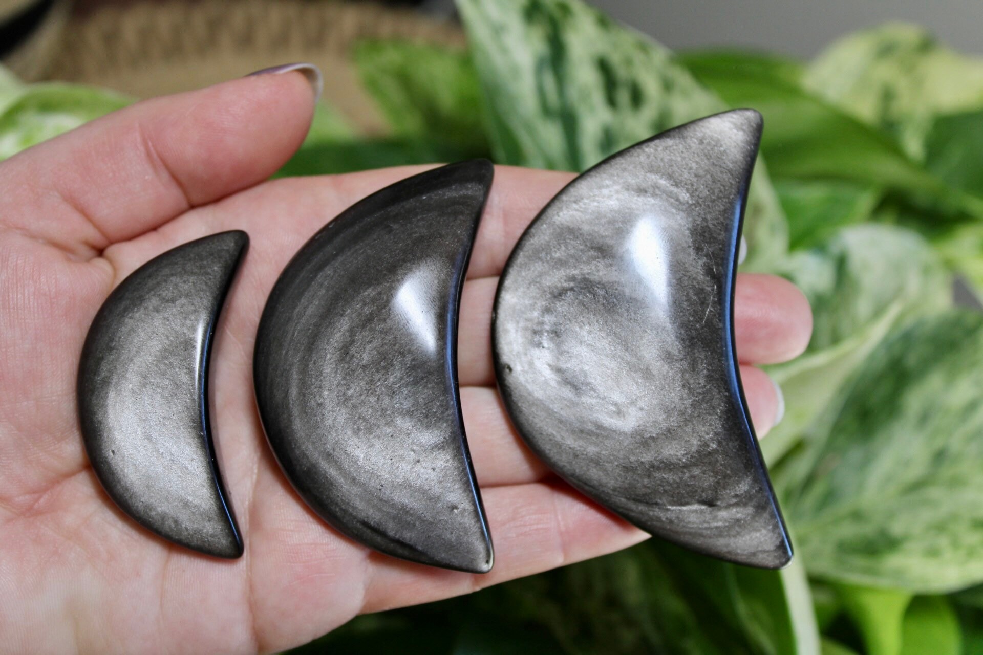 Silver Sheen Obsidian Moons Silver Sheen Obsidian Moons