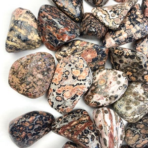Leopard Skin Jasper Tumbled Stone | Jaguar Stone | Jasper Pocket Stone | Leopard Skin Natural Stone