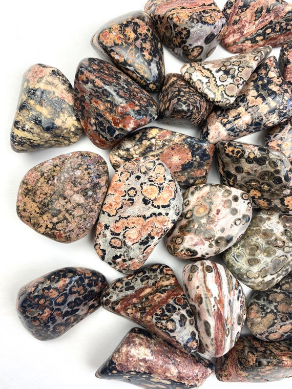 Leopard Skin Jasper Tumbles Leopard Skin Jasper Tumbles