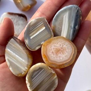 May include: A collection of polished agate stones in various shapes and sizes. The stones display bands of white, gray, and brown, with some featuring a central crystalline cavity. The agate pieces are held in a hand, showcasing their natural beauty.