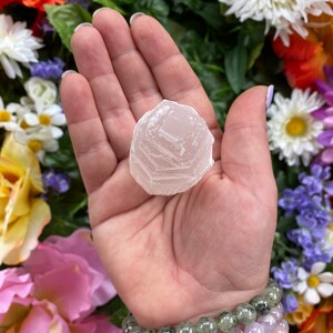May include: A white selenite crystal with a layered, translucent appearance. The crystal is being held in a hand, surrounded by colorful flowers.