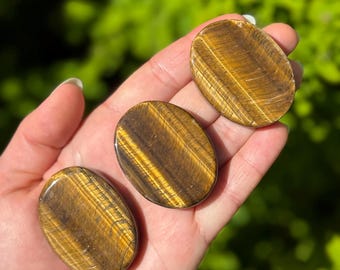 Tiger's Eye Smooth Stone: Polished Palm Gemstone