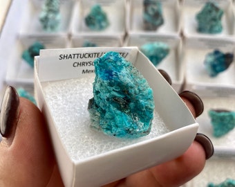 Shattuckite Azurite Chrysocolla Quartz Thumbnail Specimens, Quantum Quattro Stone, Natural Raw Mexican Crystal Specimens