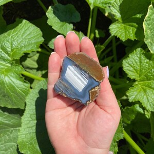 May include: A polished agate slice with a white and gray banded pattern inside a brown outer layer. The agate is a natural stone with a unique and beautiful design.