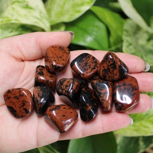 May include: A collection of tumbled red and black jasper stones. The stones are smooth and polished, with a variety of shapes and sizes.