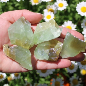 May include: A collection of five rough, green and yellow crystal chunks. The crystals are translucent and have a natural, raw appearance.