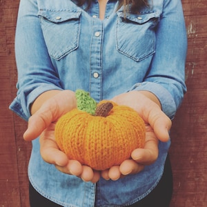 Lil' Pumpkin Knitting PATTERN download