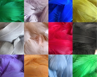 100 Solid Coloured Feathers - Mixed Sizes - Art, Craft, Bubble Balloon - Feather