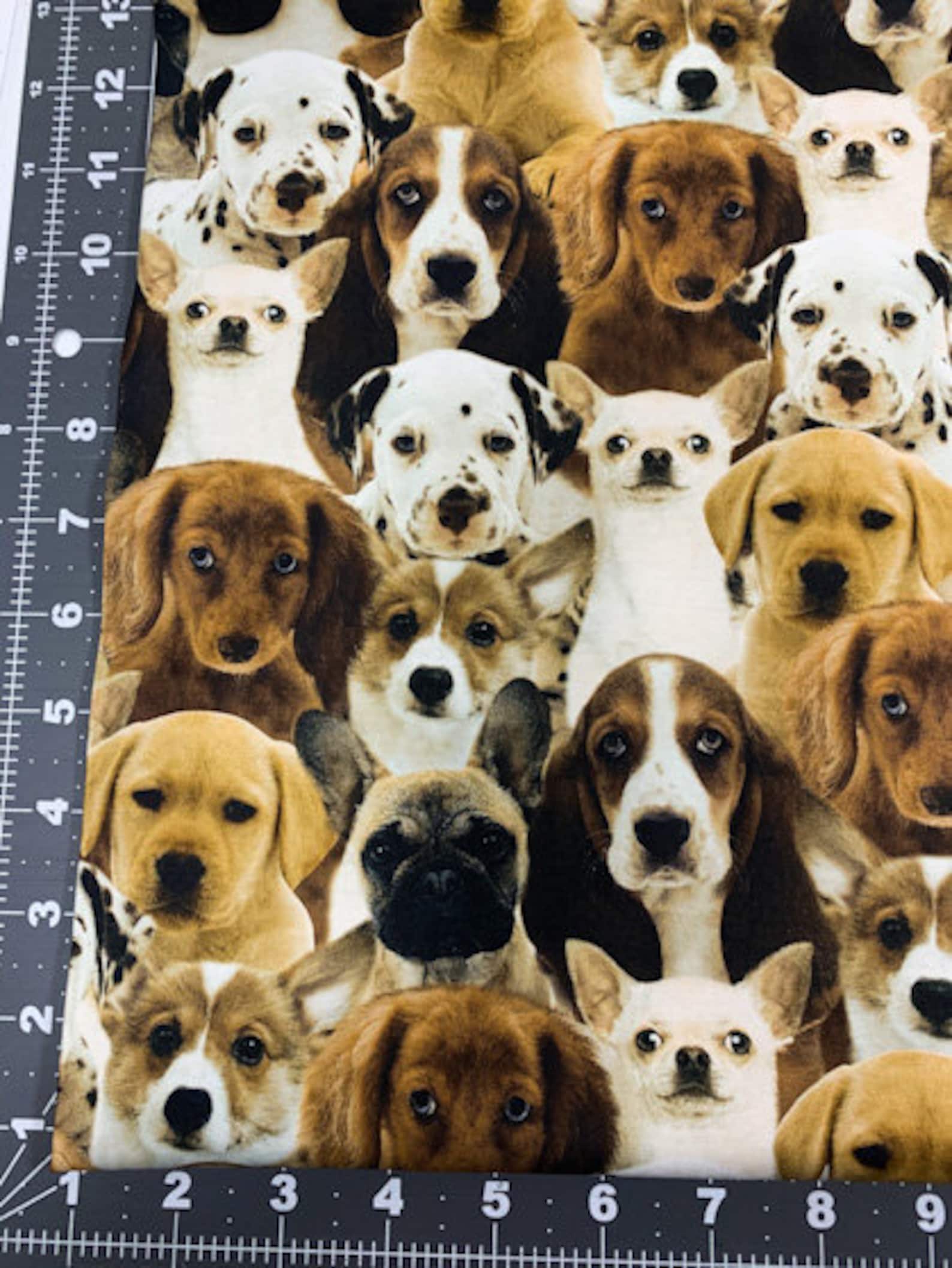Puppy Dog Cotton fabric by the yard 50065DX labrador puppy Etsy