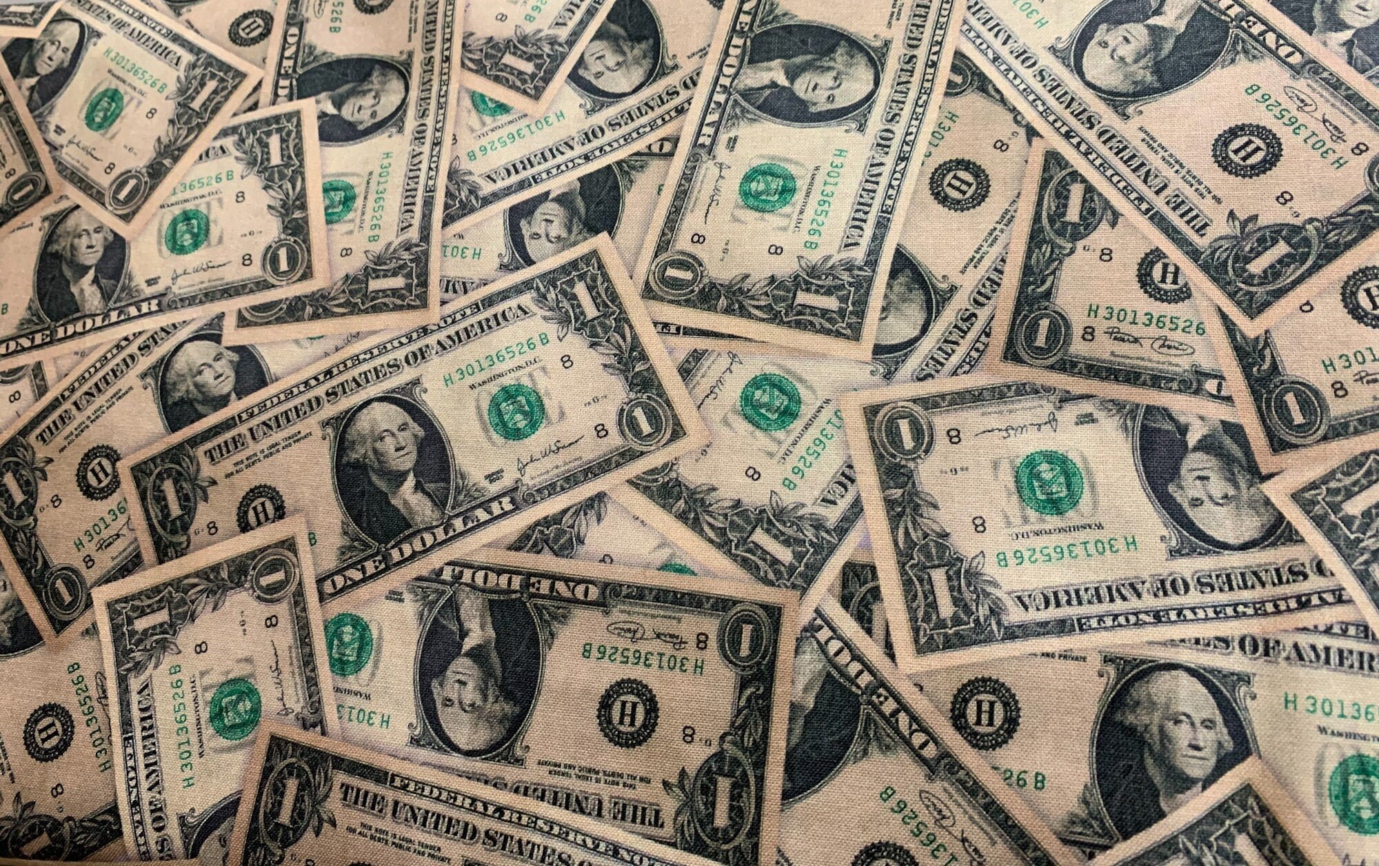 Money Cotton Fabric by the Yard Money Fabric Dollar Bill Etsy