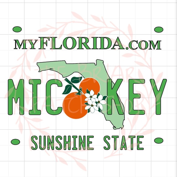 Mickey Florida license iron on